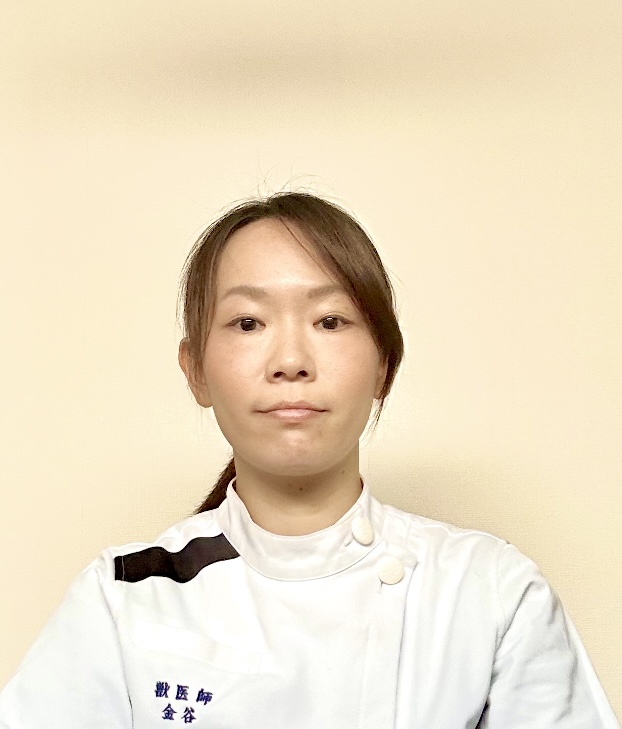 獣医さんの画像