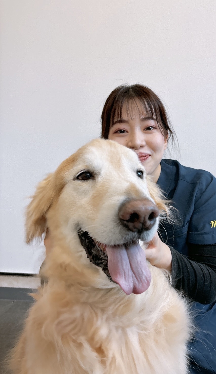 獣医さんの画像