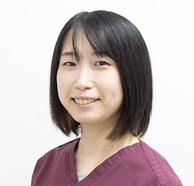 獣医さんの画像