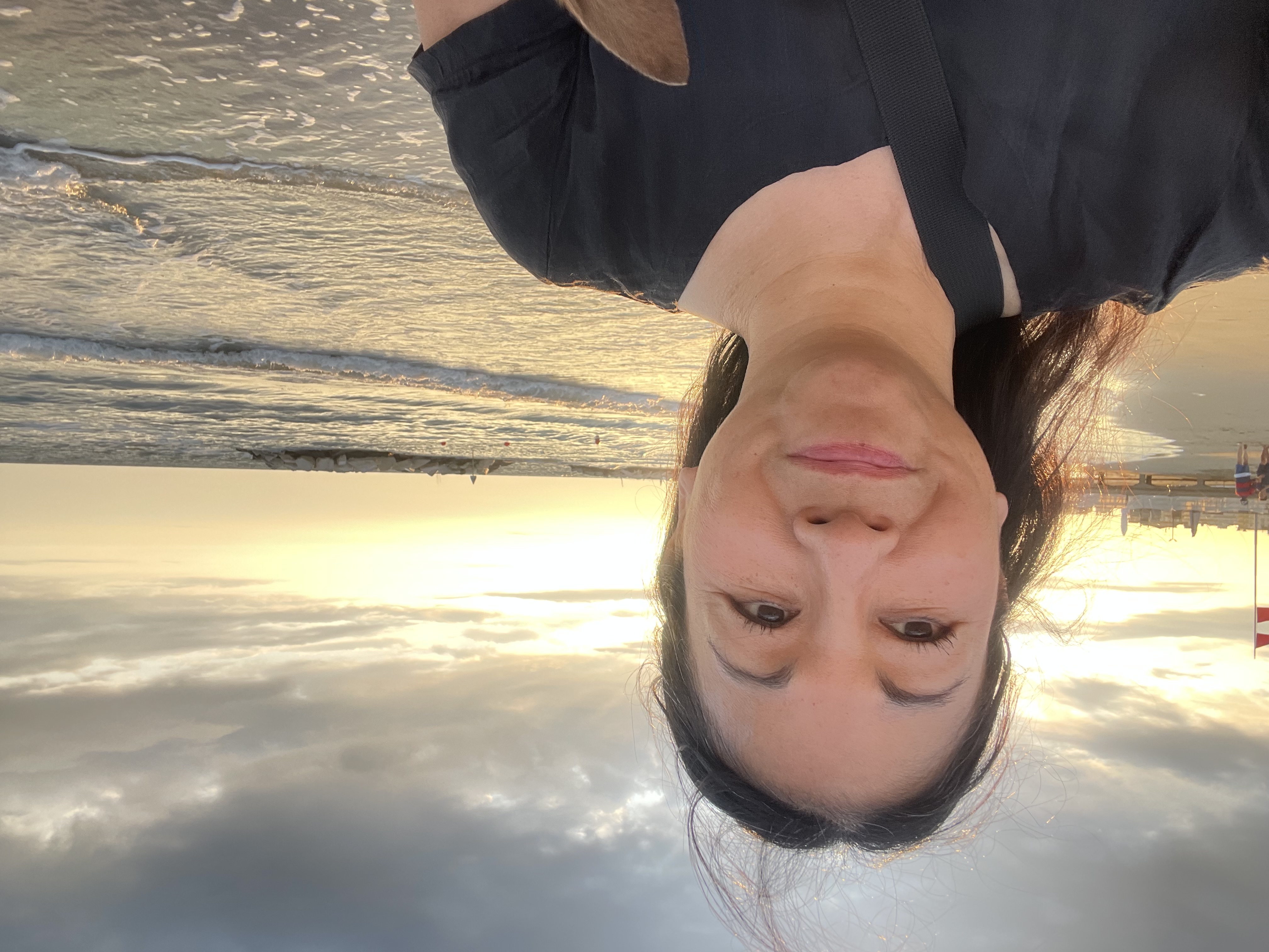 獣医さんの画像