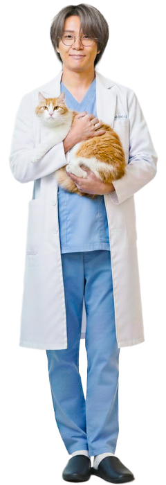 獣医師先生イメージ