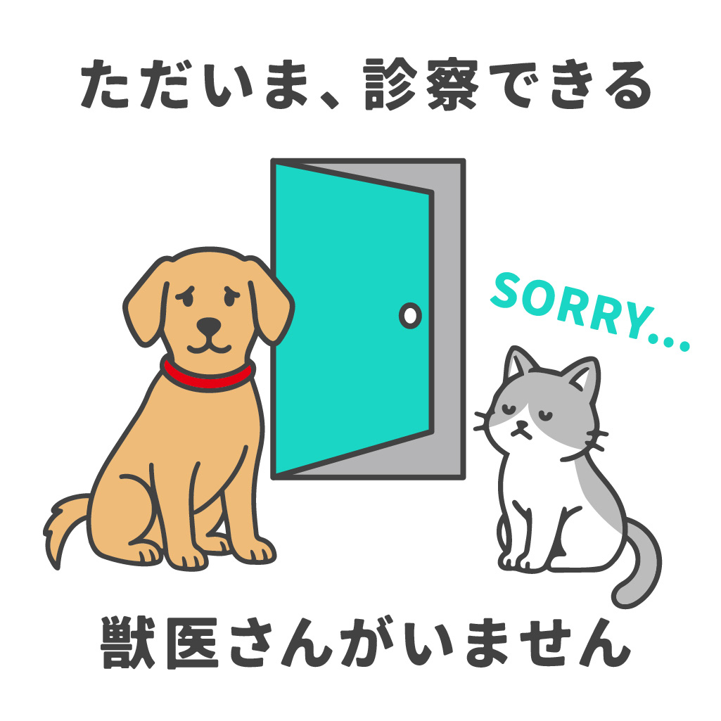 獣医さんの画像