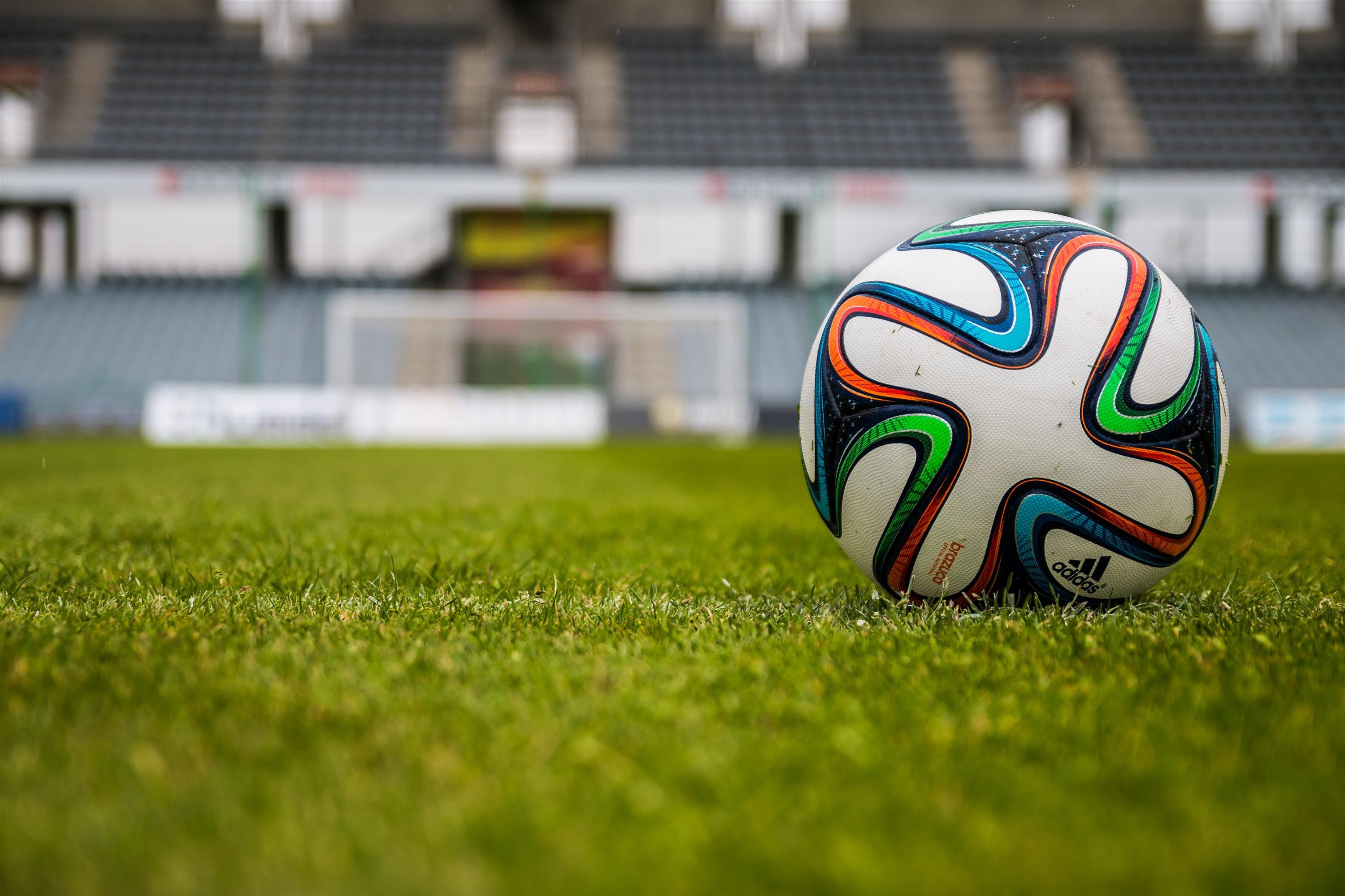 World Cup! 勝敗予想の動物たち