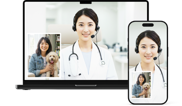 おうちで獣医さんイメージ画像